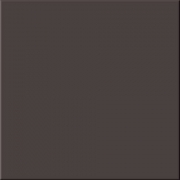 Rako Taurus Color TAA35019 Black 30*30
