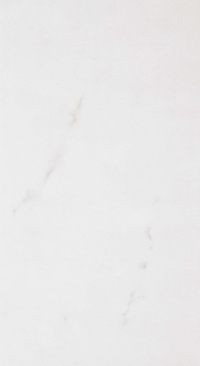 FAP Infinita Carrara Bianco 30,5x56 RT