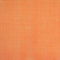 Rako Samba GAT3B152 33,3*33,3