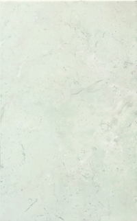 Ceramica Euro Ambra Verde Rivestimento 25*40