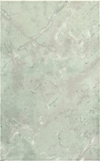 Ceramica Euro Ambra Verde Coordinato 25*40