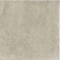 Polis Evolution 18369 Suede 60*60