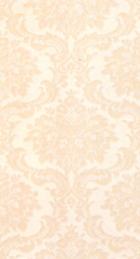 FAP Preziosa Damasco Rosa Inserto 25x45