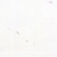 FAP Splendida Statuario 31,5x31,5