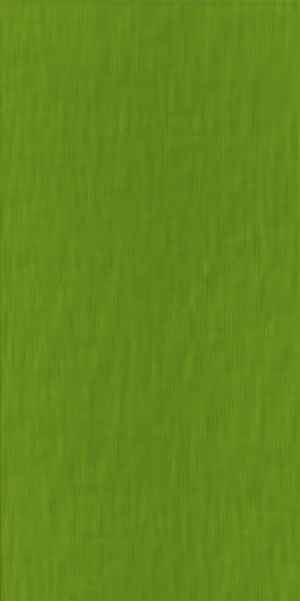 Aranda Life Rev Verde 25x50