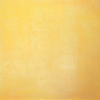 Cerdomus Benchmark Yellow R Sat 50x50 