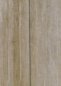 Cerdomus Barrique Gris 20x100 / 10x100 / 20x60 / 10x60