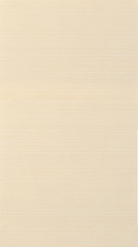 FAP Fusion Beige 25x45