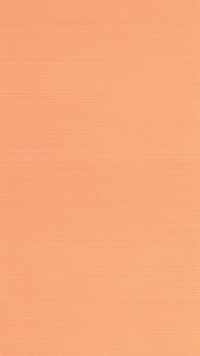 FAP Fusion Orange 25x45