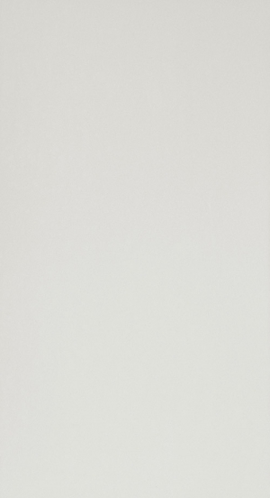 Fap Lumina Grey 30,5x56 Matt