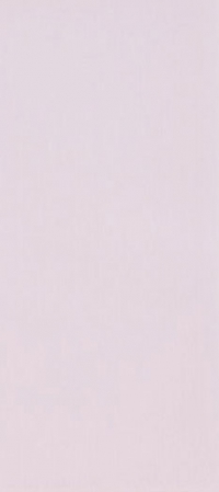 Polis Glam Rose 20*45