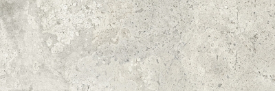 Porcelanite Dos 9529 Grey 30x90