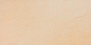 Rako Sandstone Plus Lapp DAPSE270 30*60