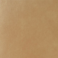 Rex Matouche Eleph Mou 60x60