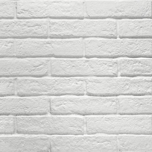 RHS New York White Brick 6x25