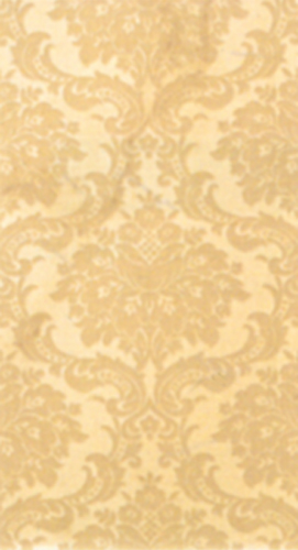 FAP Splendida Damasco Beige Inserto 25x45