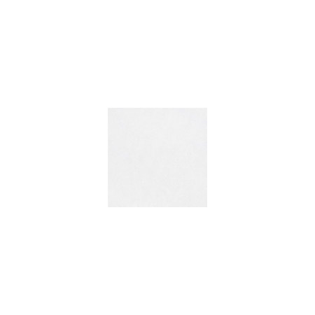 Equipe Octagon Taco Bianco Mate 4.6x4.6