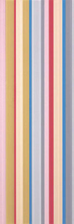 FAP Fly Colori Inserto 25x75 