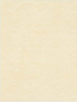 Rako Litera WATKB140 Light Beige 25*33