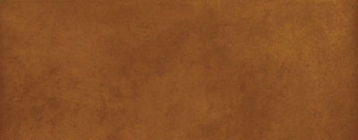 Polis Emotions 0013031 Cognac 20*45