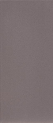 Polis VERTIGO 0013467 FAST SANDY 20*45