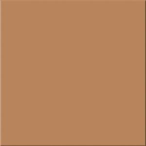 Rako Taurus Color TAA35013 Tabak 30*30