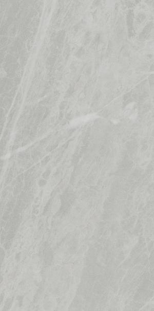 Ariostea Marmi Classici Gris de Savoie Luc 120x60