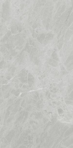 Ariostea Marmi Classici Gris de Savoie Soft 120x60