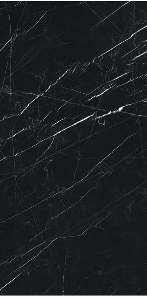 Ariostea Marmi Classici Nero Marquine lev silk 120x60