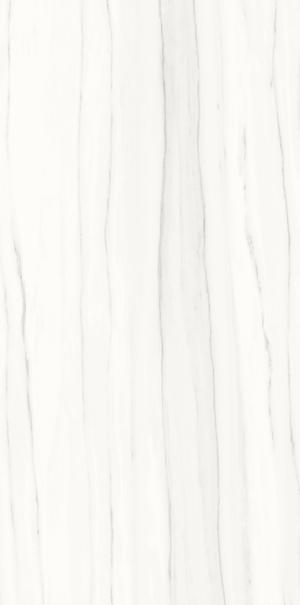 Ariostea Marmi Classici Zebrano Bianco Luc 120x60