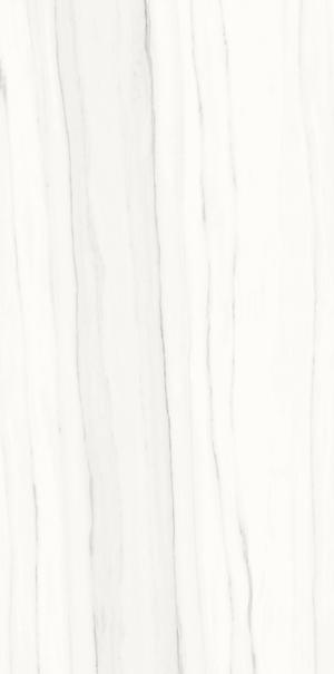 Ariostea Marmi Classici Zebrano Bianco Soft 120x60