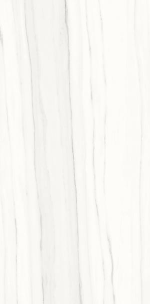 Ariostea Marmi Classici Zebrano Bianco Soft 120x60