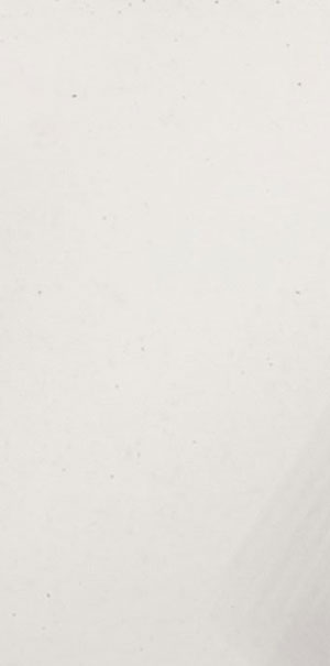 Ariostea Ultra Marmi Thassos Luc Shiny 150x300