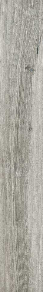 Astor Planks Pearl 14,4x100