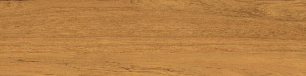 Caesar Fabula Theca 30x120