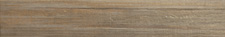 Cerdomus Barrique Listello Deco Vert 10x60 