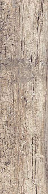 Dado Century Beige 21,25x85