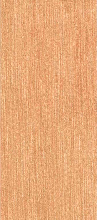 Polis Breeze Orange 20*45