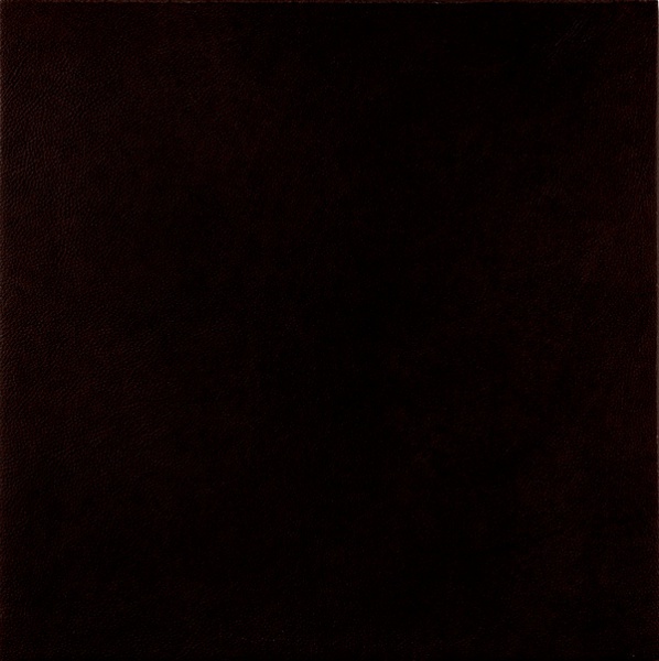 Rex Matouche Peau Charbon 60x60