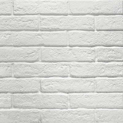 RHS New York White Brick 6x25